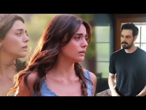 HALIL I SILA ZAJEDNICKI SU ODGOVORILI NA VIJEST O NJIHOVOJ VEZI!