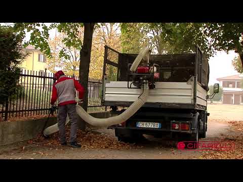 Cifarelli Spa - Vacuum for leaves V1200PK