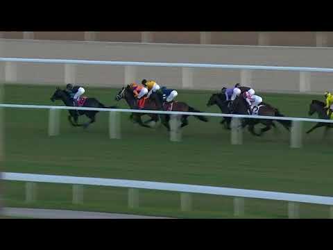 2026  GULFSTREAM PARK Pegasus World Cup Turf Stakes