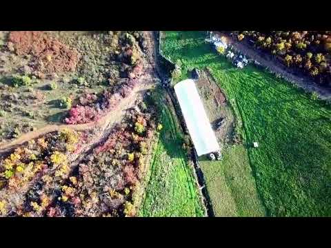 Syl Golaj Fshati Zylfaj