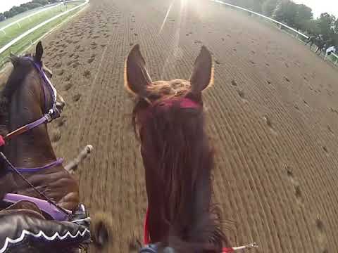 YouTube video about: What is breezing in horse racing?