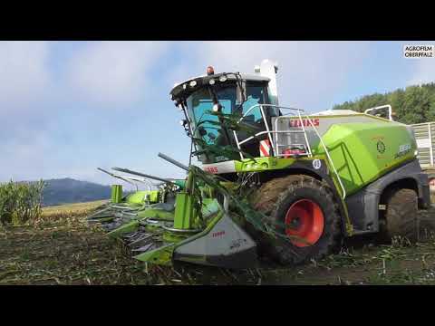 Claas Jaguar 860 im Mais - Lohnunternehmen Bücherl beim Maishäckseln