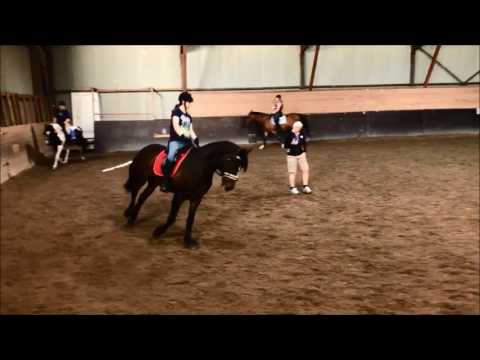 Dressur trening med Martin 24 05 17