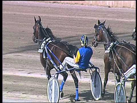 Trotto 08/05/2016 - 5° corsa