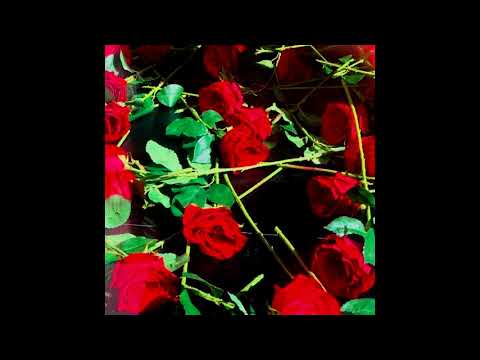 gin$eng - shes haunting me