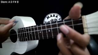 Download lagu No Exit - Rasa Ini Yang Tertinggal (Tutorial Lengkap Kentrung Senar 4) mp3