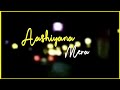 Aashiyana Mera Status Tu Jo Mila Aashiyana Mera Saath Tere Hai Na Whatsapp Status Im Shivam