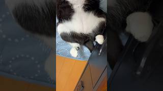 頭を抱えるやつ #shorts
