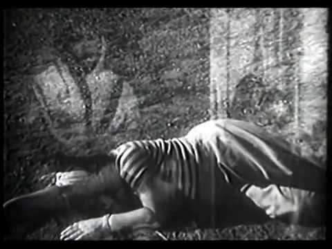 Bachpan Ke Din Bhula Na Dena - Deedar - Rafi, Lata & Shamshad