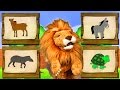 Canciones Infantiles Del Zoo El León Lorenzoo Nos Presenta A Los Animales Videos Educativos