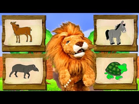 Canciones Infantiles del Zoo - El León Lorenzoo nos presenta a los animales - Videos Educativos #