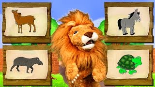 Canciones Infantiles del Zoo - El León Lorenzoo nos presenta a los animales - Videos Educativos #
