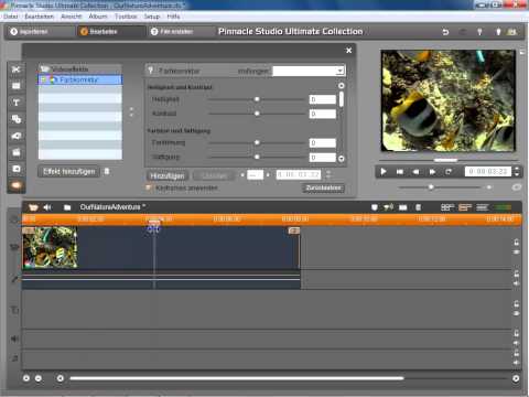 Keyframe Animation in Pinnacle Studio 14 und 15