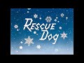 Pluto Rescue Dog Reversed