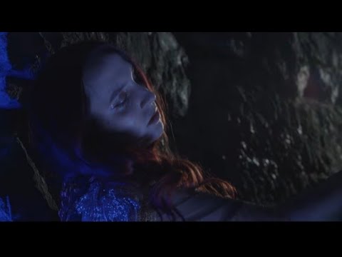 Adel Fox - Adel Fox - Your Favourite Dream (Official Music Video)