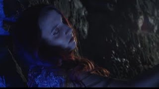 Video Adel Fox - Your Favourite Dream (Official Music Video)