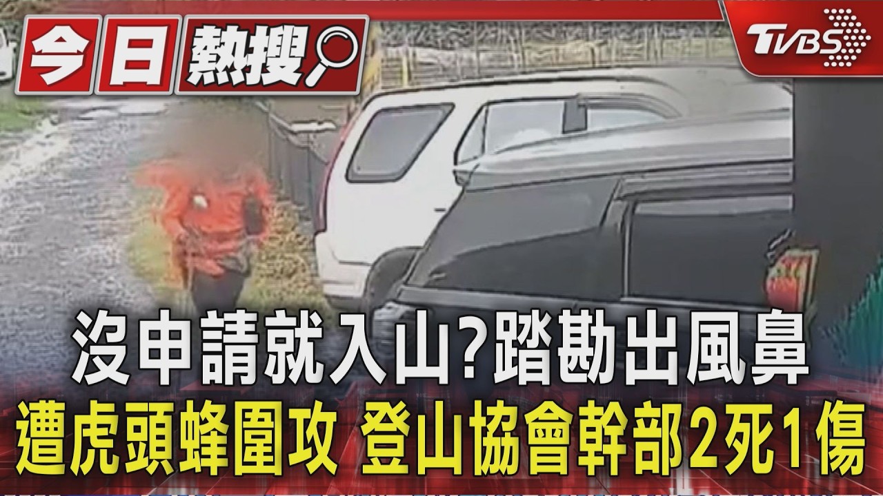 沒申請就入山?踏勘出風鼻遭虎頭蜂圍攻 登山協會幹部2死1傷