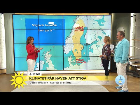 Steffos klimatoro – fin golfbana under vattenytan - Nyhetsmorgon (TV4)