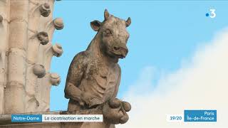 NOTRE DAME  DE PARIS : A la croisée du Transept