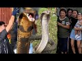 TATLO NA ANG NAPAP4T4Y SA TUKLAW NG KING COBRA SA LOPEZ QUEZON