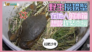 【釣蝦小益思】野生螃蟹免費吃  在地人的秘密基地  想吃還不快來  #釣蝦 #i呀我的蛋 #新聞 #主播 Shrimpfishing  エビ釣り  새우 낚시