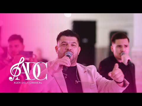 Alex de la Caracal - Frunzulita de cicoare curva-i curva pana moare HIT LIVE