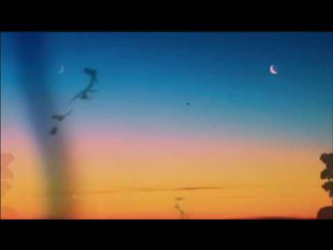 Amy Millan - Kiss that summer (Official Video)