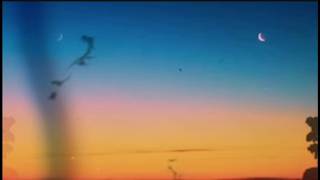 Amy Millan – Kiss that summer