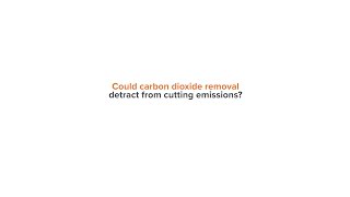 Reisinger: Could carbon dioxide removal detract from cutting emissions?