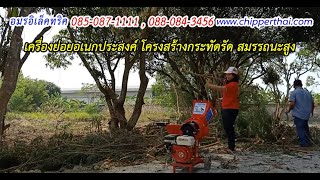 เครื่องย่อยกิ่งไม้อเนกประสงค์ เครื่องย่อยอเนกประสงค์ 085-087-1111 อมรอิเล็คทริค S1-6210 Platinum
