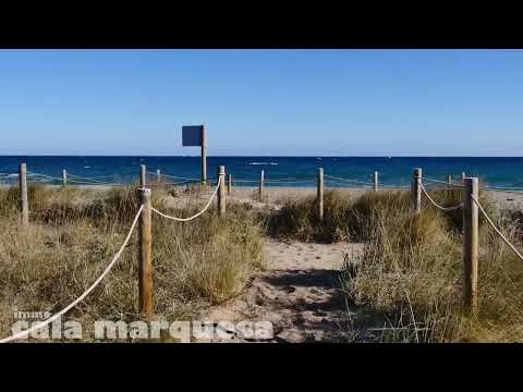 PA-1 PA-1 PALS 3 PaX Apartament  Pals