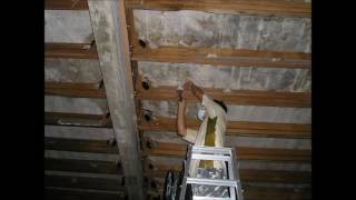 Download lagu Suara Tarik Walet Kalimantan Baru 0 Swallows Voice mp3 Download lagu Suara Tarik Walet Kalimantan Baru 0 Swallows Voice mp3