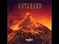 sweet little rock n roller (Gotthard live)