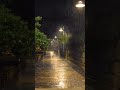 Bhigi Hui Hai Raat Magar Jal Rahe Hai Ham Status Ringtone Trending