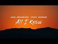 Axel Johansson All I Know Lyrics Feat ANARAE