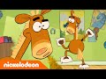Hier is Pony | De onhandigste momenten van Pony | Nickelodeon Nederlands