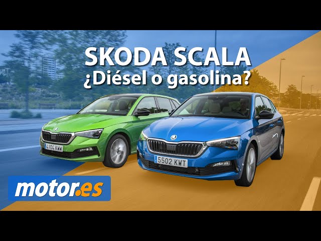 The Skoda Scala is the bargain of the cheap compact with a discount of almost 8,000 euros