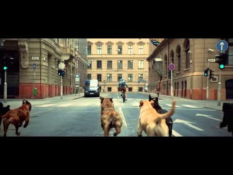 White God - Bande Annonce VF