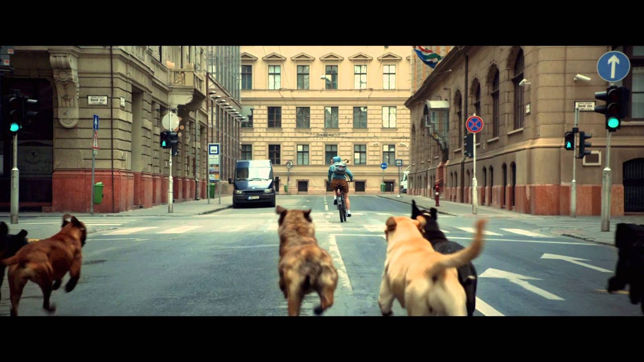 White God - Bande Annonce VF