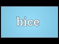 Bice Meaning