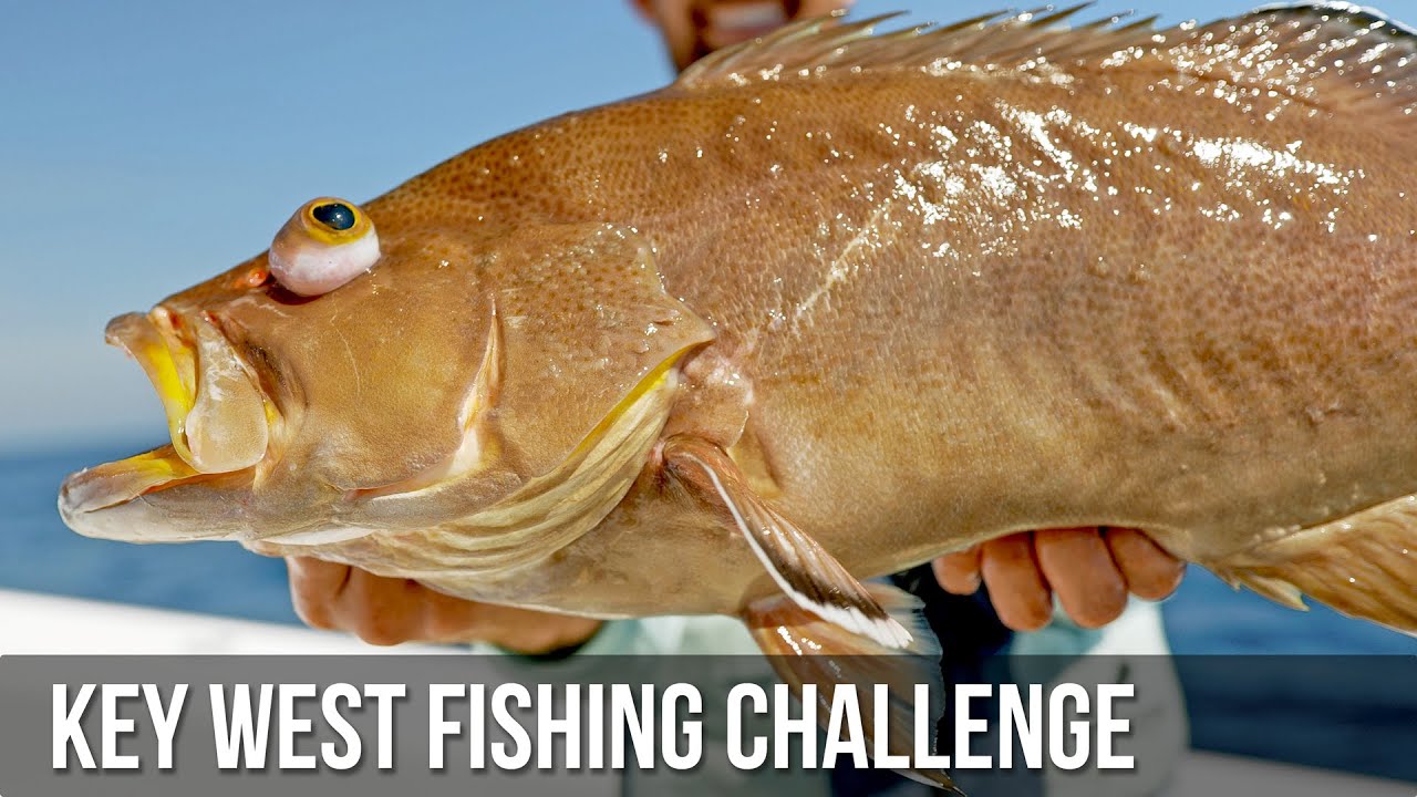 2 Hour Key West Fishing Challenge