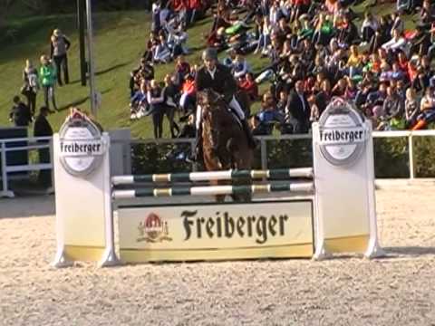 Casdorff v. Casall x Contender  Hengstparade 2015 Moritzburg