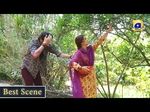 Qalandar Episode 06 | 𝐁𝐞𝐬𝐭 𝐒𝐜𝐞𝐧𝐞 𝟎𝟕 | Muneeb Butt | Komal Meer | Ali Abbas | Hiba Aziz | HAR PAL GEO