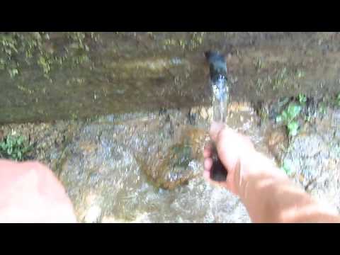 Uji i Svircës, Medvegjë (kroni i mrizit)