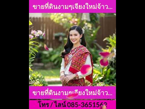 ช่างเคี่ยน เชียงใหม่, เชียงใหม่, 999 ช่างเคี่ยน, ช้างเผือก, เมืองเชียงใหม่, เชียงใหม่, 5,788 ตร.ม., ที่ดิน ขาย, โดย ปราบ ถิรานุสรณ์, 11023461 - DDproperty.com