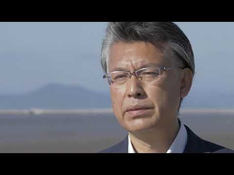 芝生や庭でカタバミと戦うにはどうすればよいですか？有機栽培についての誠実な答え!  庭園