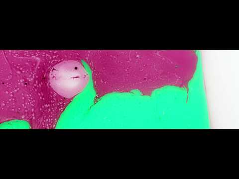 Junior Sanchez Vs. Bad Suns - Salt