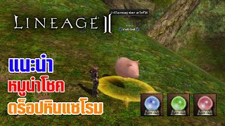 Lineage II | แนะนำ หมูนำโชค ดร็อปหินแซโรม