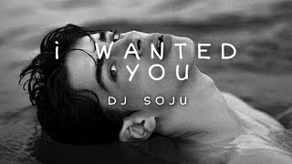 Download lagu I Wanted You ¦¦ DJ Soju ~Slowed~ mp3