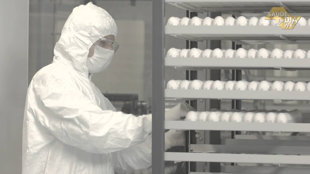 Descubra como é feita a vacina contra a gripe do Instituto Butantan